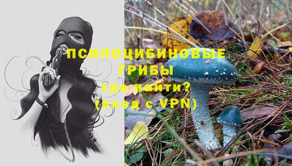 мдма Лагань