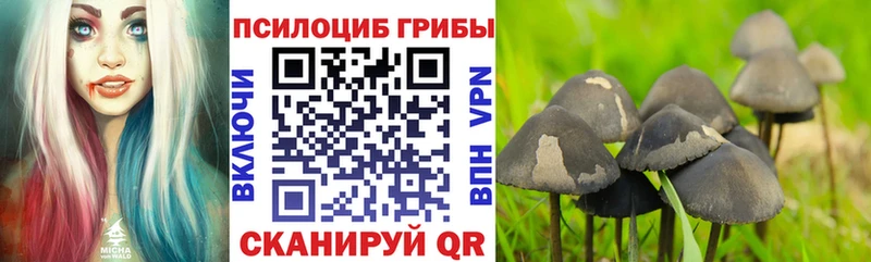 Галлюциногенные грибы мухоморы  Купить где  Неман 