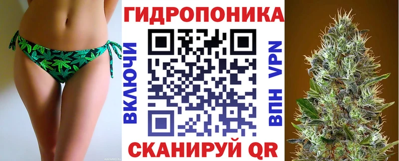 Бошки марихуана индика  Купить закладки  Неман 